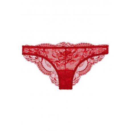 10175-10175_5e048992304995.04889250_brigitta-lace-brief-red_large.jpg