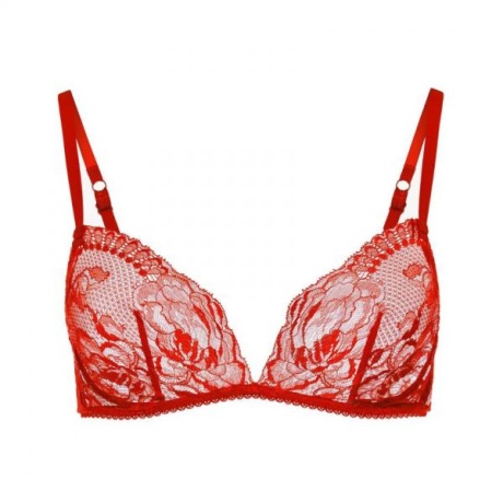 11488-11488_5f6d9b5639fbf2.53355544_brigitta-sof-bra-red_large.jpg