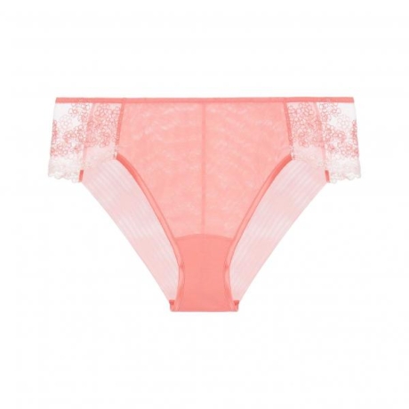 13416-13416_622466d4e26631.77861764_outset-coral-medio-brief_large.jpg