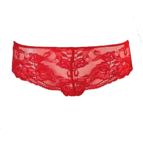 13893-13893_628d10872a6568.98138236_antique-allure-brief-red_large.jpg