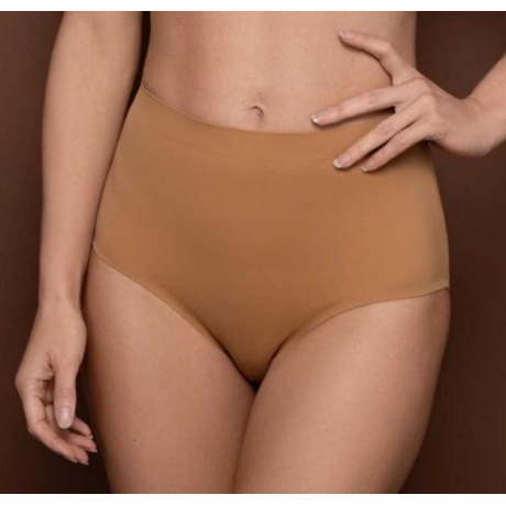 15027-15027_6448cfb050a898.16566079_high-waist-brief-terracotta_large.jpg