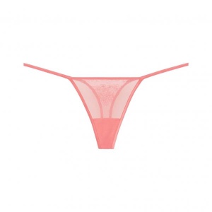 Outset stringit koralli