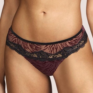 Fraser  thong briefs wine
