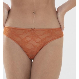 Fabulous lace string brief terracotta   