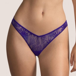 Andraos  Luxury thong violet