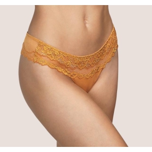 Eve lace string brief gold