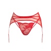gaga-andres-sarda-3312470 garter belt.jpg