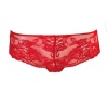 13893-13893_628d10872a6568.98138236_antique-allure-brief-red_large.jpg