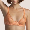 14546-14546_63ab1d77c03bc3.84219097_andraos-image-bra-1_large.jpg