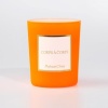 15791-15791_65a90f64688c35.02833100_maison-candle-corps-neon_large.jpg
